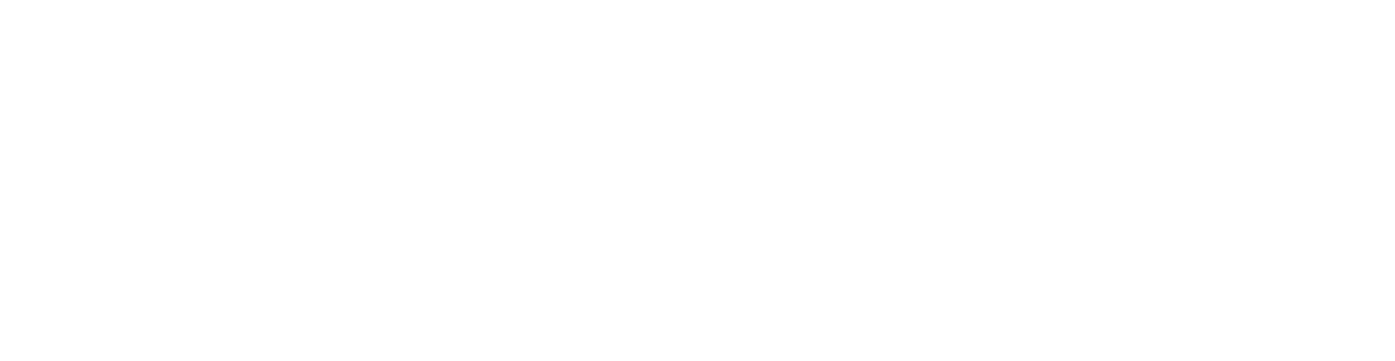 logo-andy-white